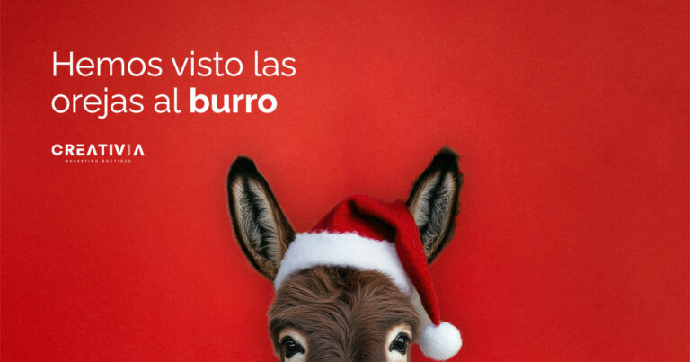 marketing navideño y el burrito sabanero