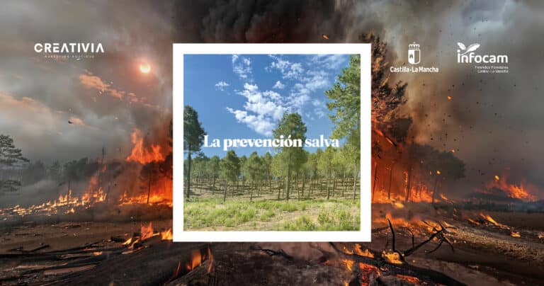 Prevención de Incendios Forestales: la campaña que conecta pequeños gestos con grandes consecuencias.